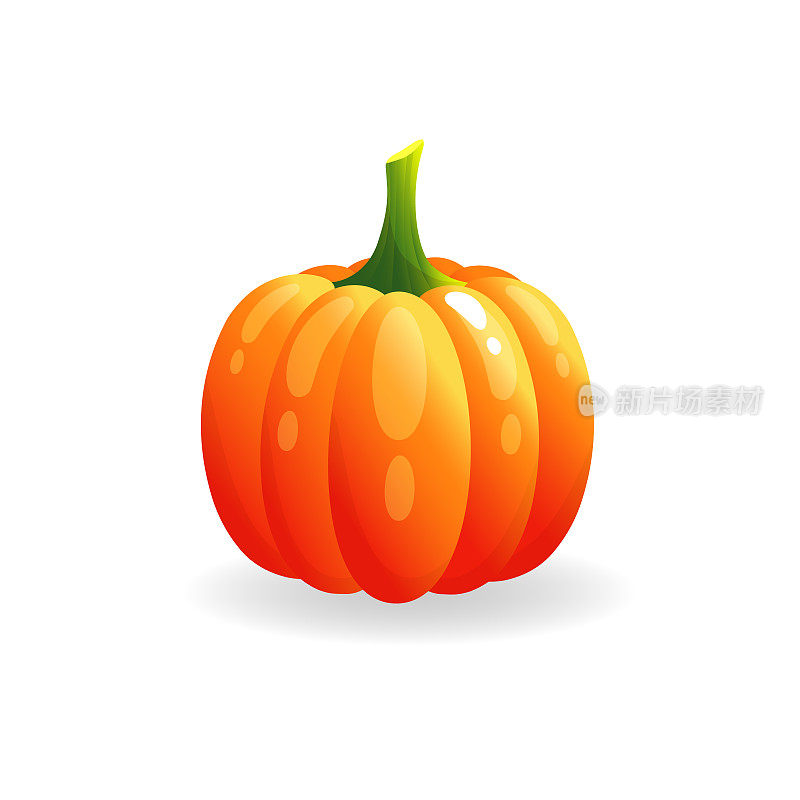 Orange pumpkin vector illustration. Autumn halloween pumpkin, vegetable graphic icon or print, isolated on white background.